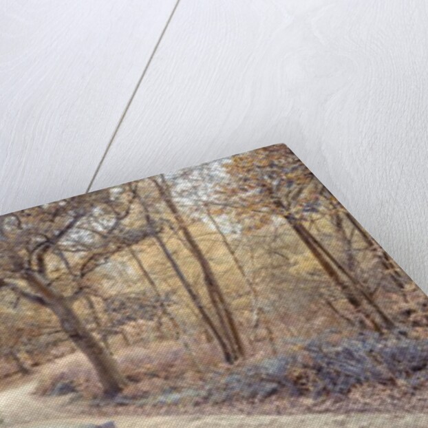 Canal lock by Assaf Frank